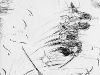 moneyshot2.jpg