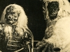 jaguma1b.jpg