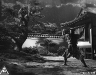 akbw7.jpg