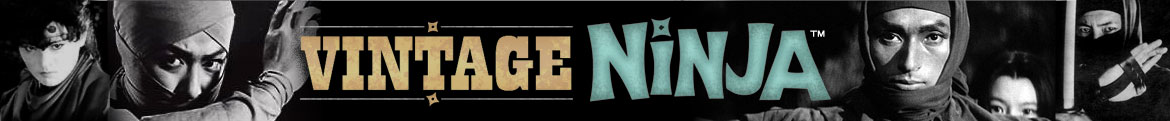 Vintage Ninja