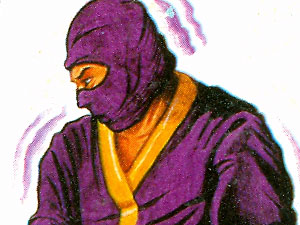 REMCO “Secret of the Ninja” box art